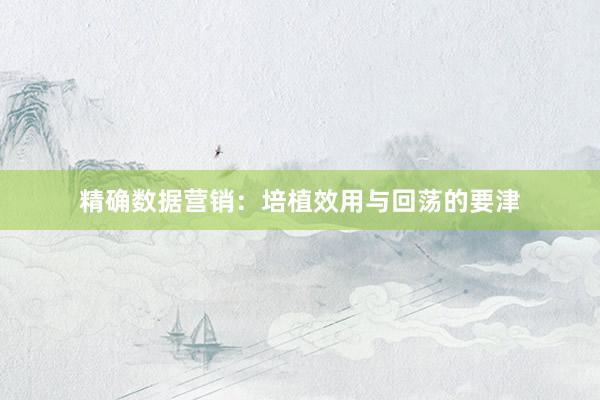 精确数据营销：培植效用与回荡的要津